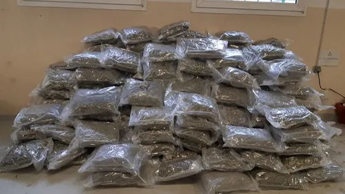 429 kilos de cannabis saisis par les douanes de Dijon et de Chalon 